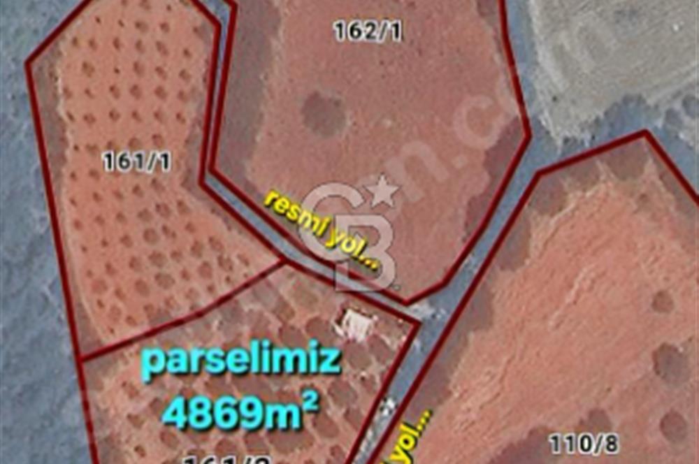 ÇANAKKALE/MERKEZ SALİHLERDE KÖYE 100M.4869M² FISTIK ÇAMI BAHÇESİ