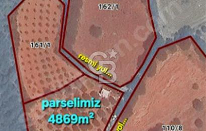 ÇANAKKALE/MERKEZ SALİHLERDE KÖYE 100M.4869M² FISTIK ÇAMI BAHÇESİ