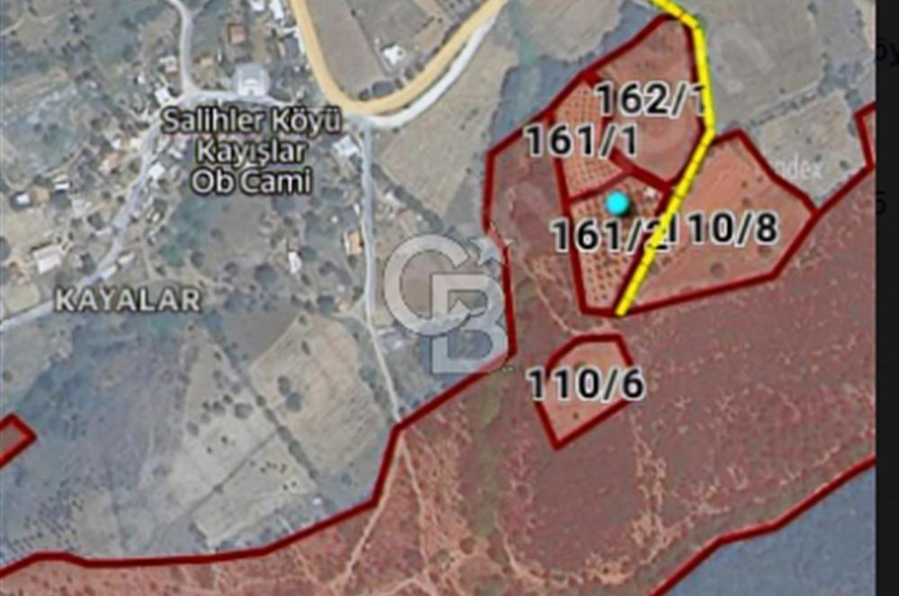 ÇANAKKALE/MERKEZ SALİHLERDE KÖYE 100M.4869M² FISTIK ÇAMI BAHÇESİ