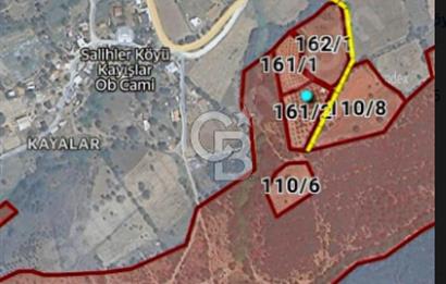 ÇANAKKALE/MERKEZ SALİHLERDE KÖYE 100M.4869M² FISTIK ÇAMI BAHÇESİ