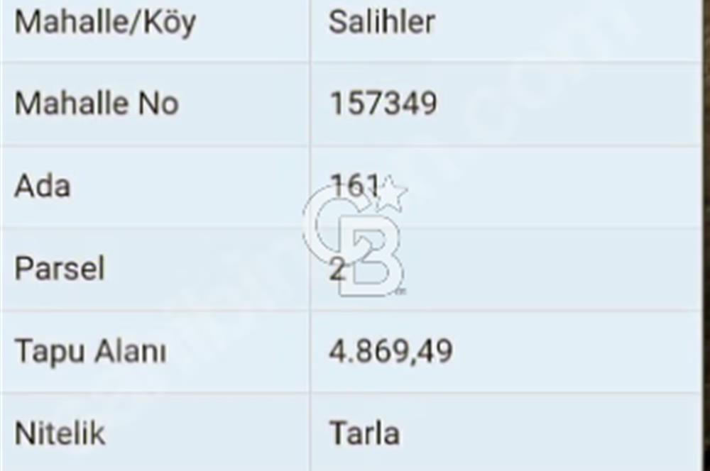 ÇANAKKALE/MERKEZ SALİHLERDE KÖYE 100M.4869M² FISTIK ÇAMI BAHÇESİ