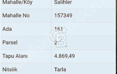 ÇANAKKALE/MERKEZ SALİHLERDE KÖYE 100M.4869M² FISTIK ÇAMI BAHÇESİ