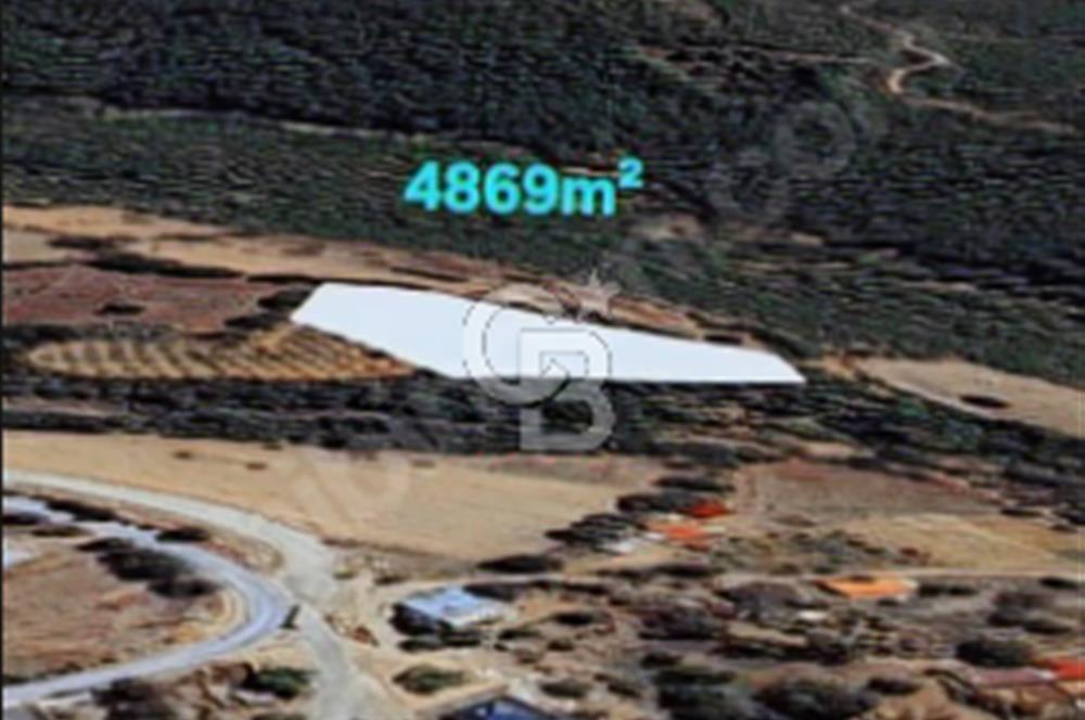 ÇANAKKALE/MERKEZ SALİHLERDE KÖYE 100M.4869M² FISTIK ÇAMI BAHÇESİ