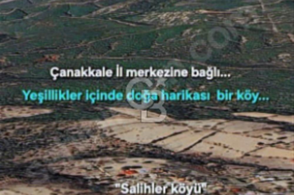 ÇANAKKALE/MERKEZ SALİHLERDE KÖYE 100M.4869M² FISTIK ÇAMI BAHÇESİ