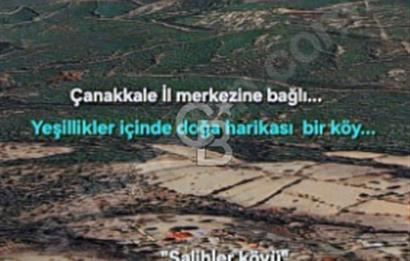 ÇANAKKALE/MERKEZ SALİHLERDE KÖYE 100M.4869M² FISTIK ÇAMI BAHÇESİ