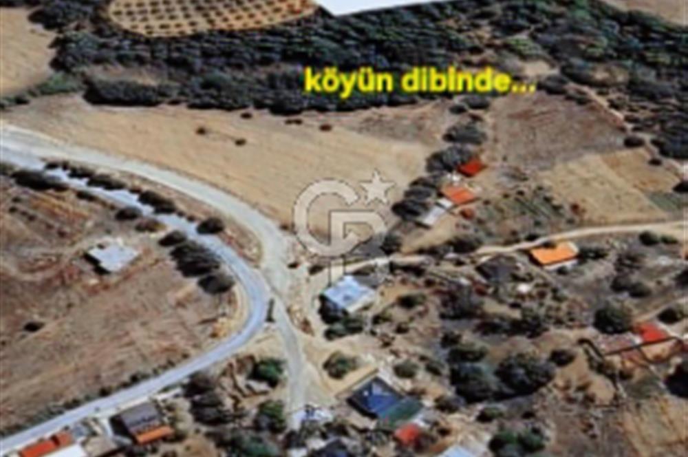 ÇANAKKALE/MERKEZ SALİHLERDE KÖYE 100M.4869M² FISTIK ÇAMI BAHÇESİ