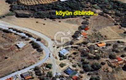 ÇANAKKALE/MERKEZ SALİHLERDE KÖYE 100M.4869M² FISTIK ÇAMI BAHÇESİ