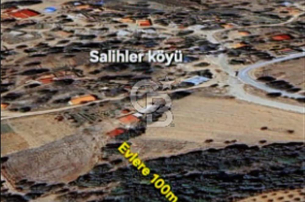 ÇANAKKALE/MERKEZ SALİHLERDE KÖYE 100M.4869M² FISTIK ÇAMI BAHÇESİ