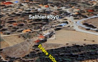 ÇANAKKALE/MERKEZ SALİHLERDE KÖYE 100M.4869M² FISTIK ÇAMI BAHÇESİ