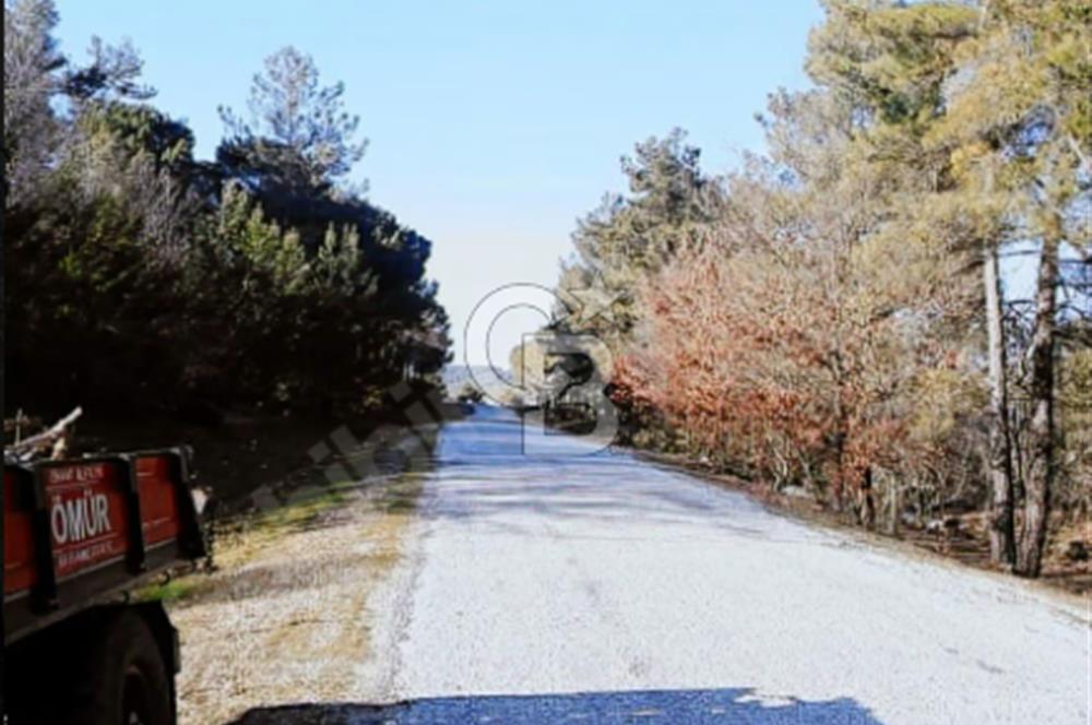 ÇANAKKALE/MERKEZ SALİHLERDE KÖYE 100M.4869M² FISTIK ÇAMI BAHÇESİ