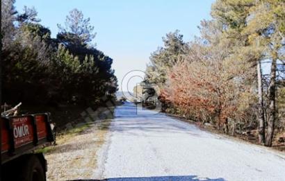 ÇANAKKALE/MERKEZ SALİHLERDE KÖYE 100M.4869M² FISTIK ÇAMI BAHÇESİ