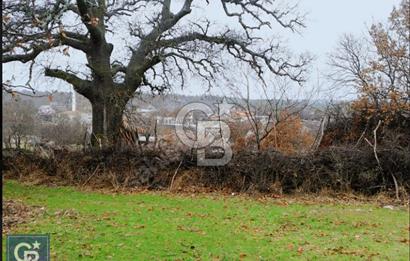 ÇANAKKALE/MERKEZ SALİHLERDE KÖYE 100M.4869M² FISTIK ÇAMI BAHÇESİ