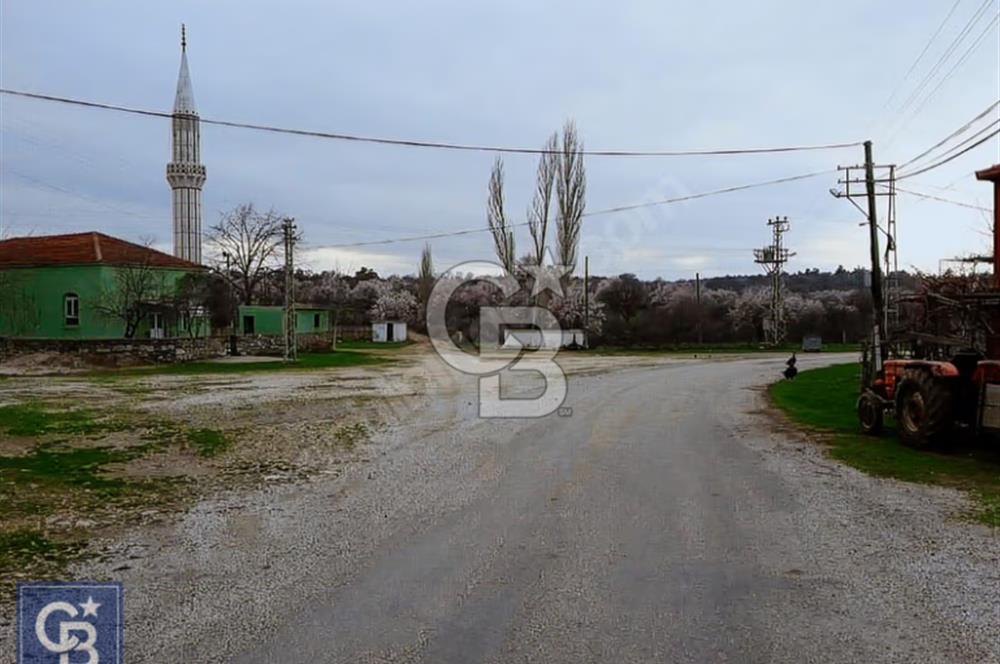 ÇANAKKALE/MERKEZ SALİHLERDE KÖYE 100M.4869M² FISTIK ÇAMI BAHÇESİ