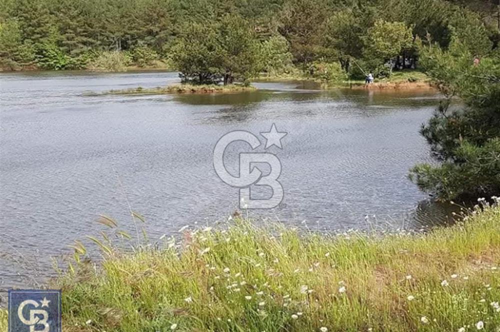 ÇANAKKALE/MERKEZ SALİHLERDE KÖYE 100M.4869M² FISTIK ÇAMI BAHÇESİ