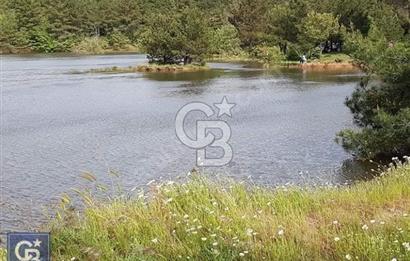 ÇANAKKALE/MERKEZ SALİHLERDE KÖYE 100M.4869M² FISTIK ÇAMI BAHÇESİ