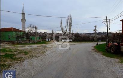 ÇANAKKALE/MERKEZ SALİHLERDE KÖYE 100M.4869M² FISTIK ÇAMI BAHÇESİ