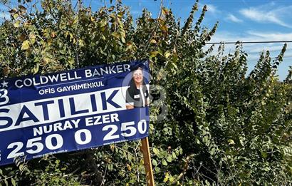 Muradiye' de Celal Bayar Üniversitesi yanında satılık tarla