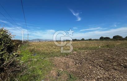 Muradiye' de Celal Bayar Üniversitesi yanında satılık tarla