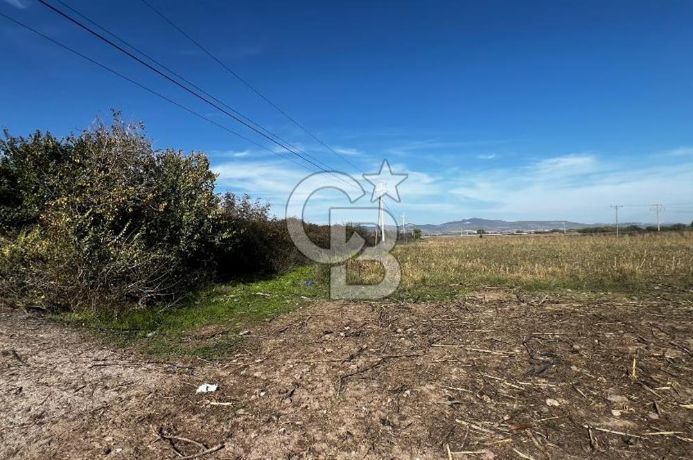 Muradiye' de Celal Bayar Üniversitesi yanında satılık tarla