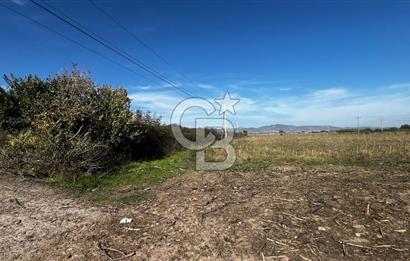 Muradiye' de Celal Bayar Üniversitesi yanında satılık tarla