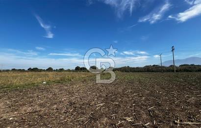 Muradiye' de Celal Bayar Üniversitesi yanında satılık tarla