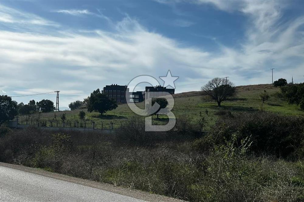 Muradiye' de Celal Bayar Üniversitesi yanında satılık tarla