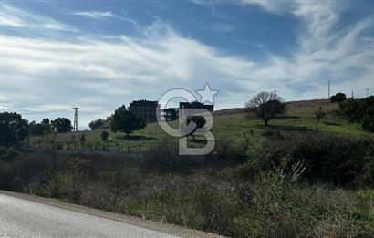 Muradiye' de Celal Bayar Üniversitesi yanında satılık tarla