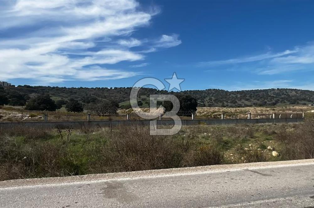 Muradiye' de Celal Bayar Üniversitesi yanında satılık tarla