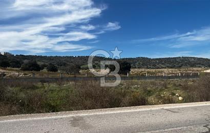 Muradiye' de Celal Bayar Üniversitesi yanında satılık tarla