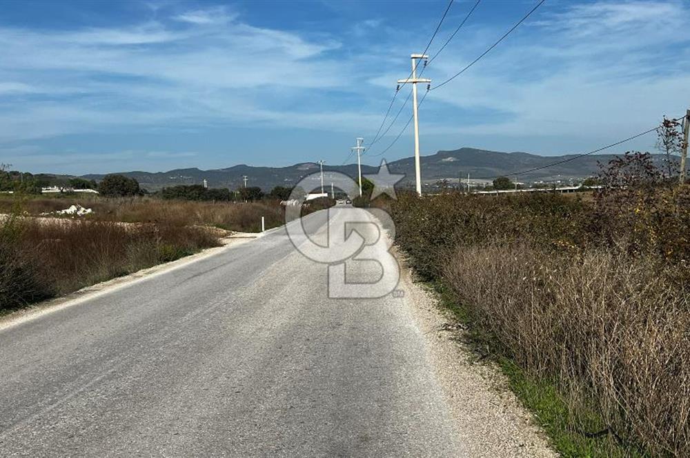 Muradiye' de Celal Bayar Üniversitesi yanında satılık tarla