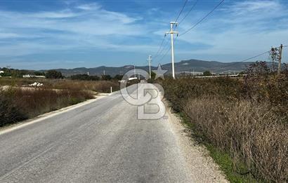 Muradiye' de Celal Bayar Üniversitesi yanında satılık tarla