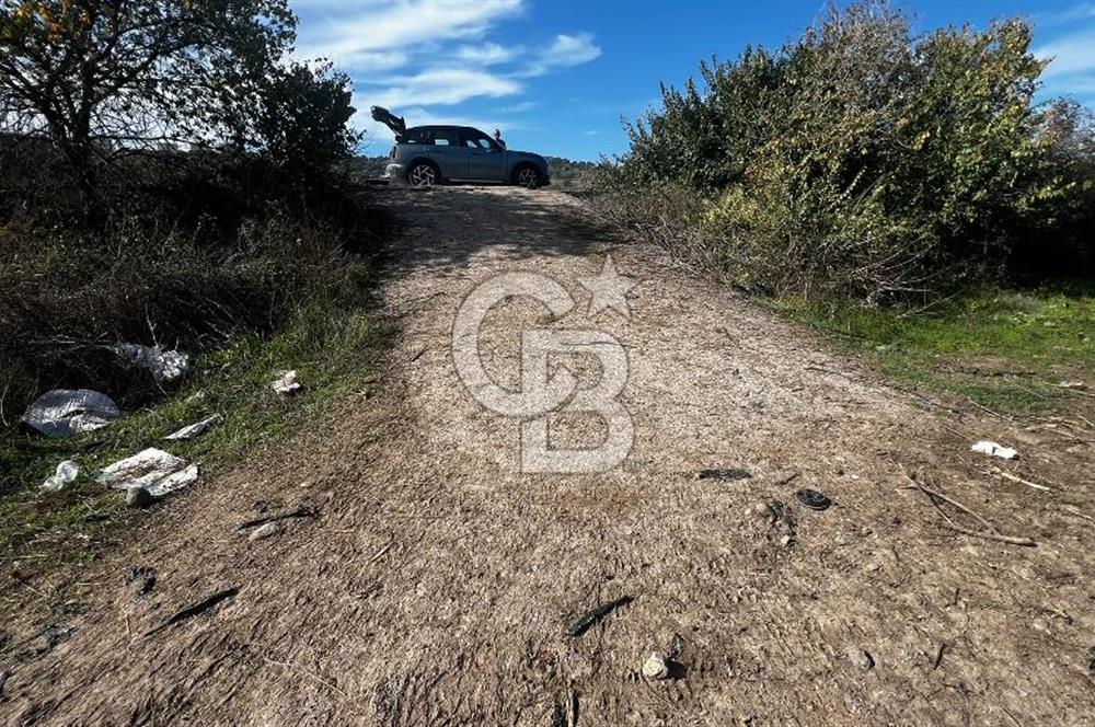 Muradiye' de Celal Bayar Üniversitesi yanında satılık tarla