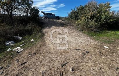 Muradiye' de Celal Bayar Üniversitesi yanında satılık tarla