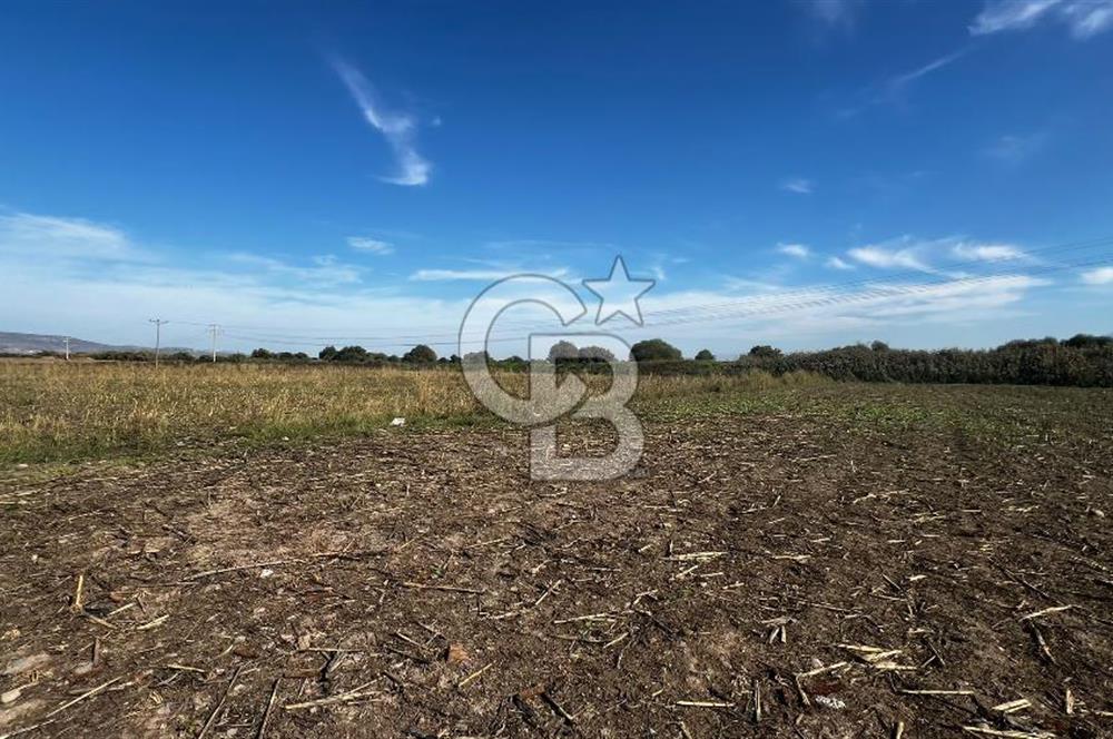 Muradiye' de Celal Bayar Üniversitesi yanında satılık tarla