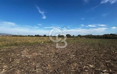 Muradiye' de Celal Bayar Üniversitesi yanında satılık tarla