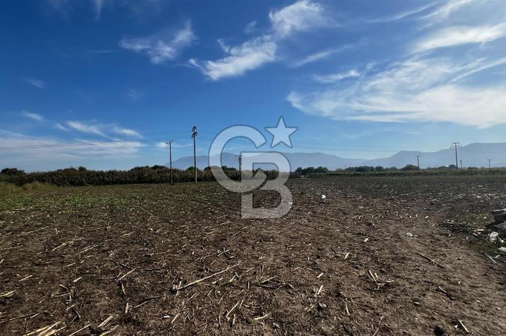 Muradiye' de Celal Bayar Üniversitesi yanında satılık tarla