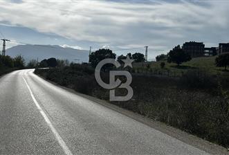 Muradiye' de Celal Bayar Üniversitesi yanında satılık tarla - 1 - 310915