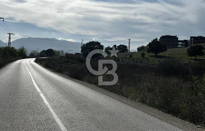 Muradiye' de Celal Bayar Üniversitesi yanında satılık tarla