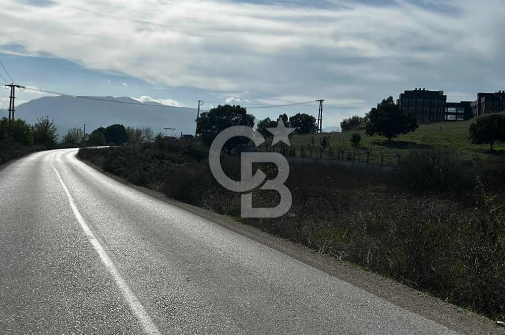 Muradiye' de Celal Bayar Üniversitesi yanında satılık tarla