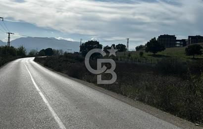 Muradiye' de Celal Bayar Üniversitesi yanında satılık tarla