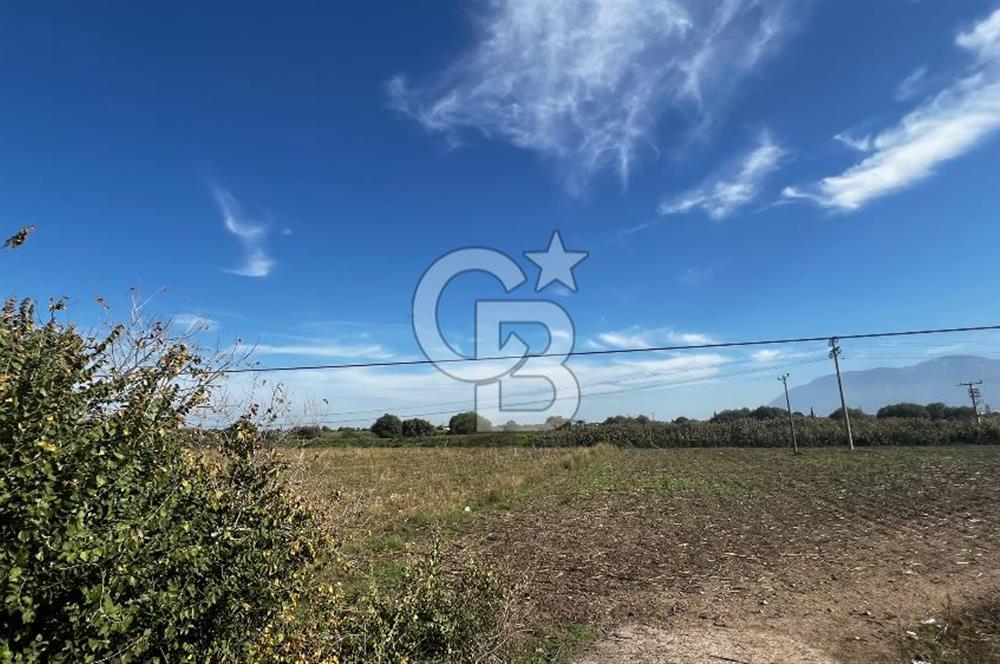 Muradiye' de Celal Bayar Üniversitesi yanında satılık tarla