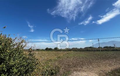 Muradiye' de Celal Bayar Üniversitesi yanında satılık tarla