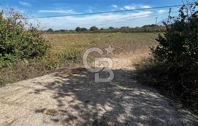 Muradiye' de Celal Bayar Üniversitesi yanında satılık tarla