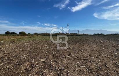 Muradiye' de Celal Bayar Üniversitesi yanında satılık tarla