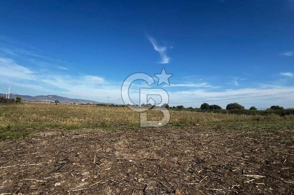 Muradiye' de Celal Bayar Üniversitesi yanında satılık tarla