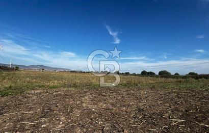 Muradiye' de Celal Bayar Üniversitesi yanında satılık tarla