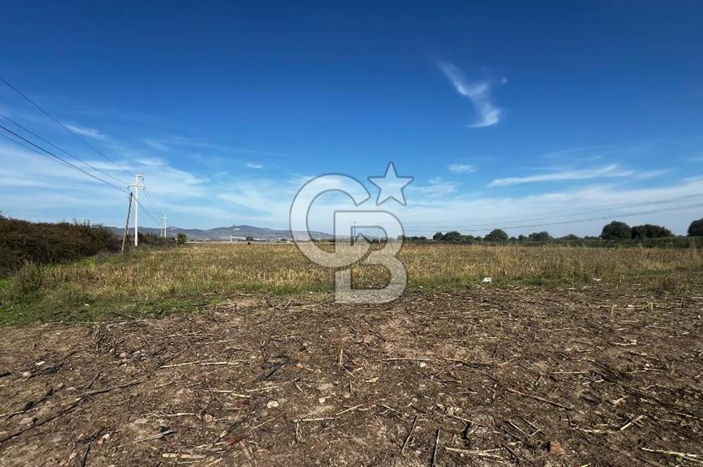 Muradiye' de Celal Bayar Üniversitesi yanında satılık tarla