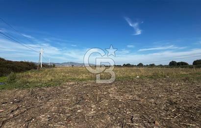 Muradiye' de Celal Bayar Üniversitesi yanında satılık tarla
