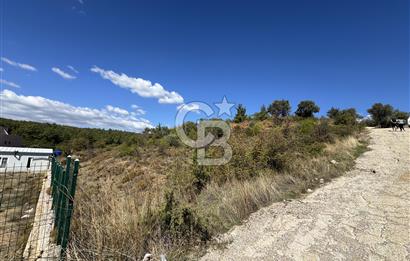 Yakaköy Köyaltında 1954m2 Tarla. Yola Cephe, Elektrik & Su var