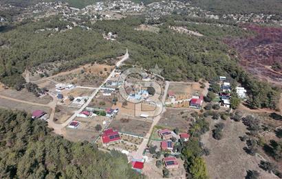 Yakaköy Köyaltında 1954m2 Tarla. Yola Cephe, Elektrik & Su var